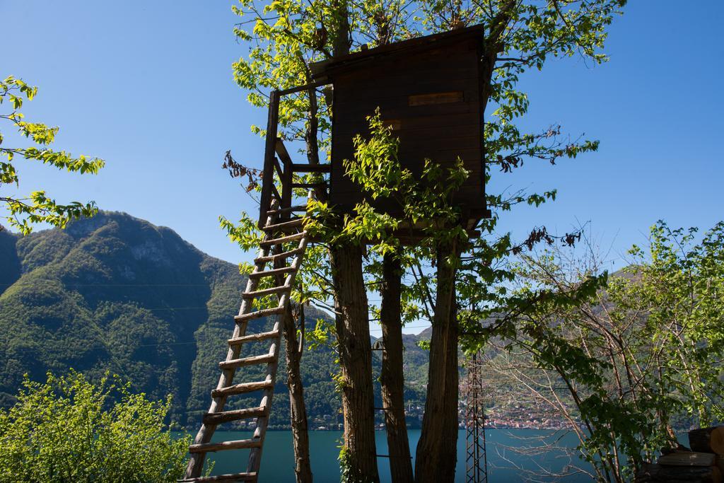 Tra E Montagna La Morena Farm stay