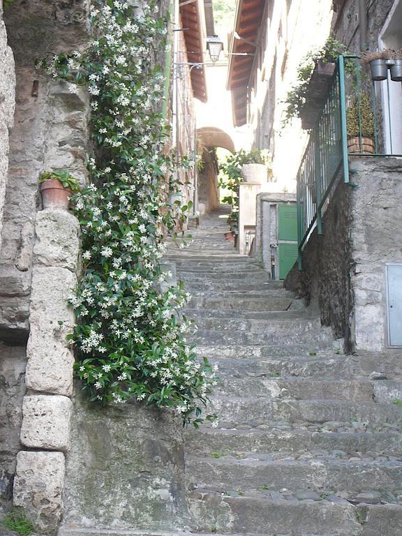 Apartment Casa Romantica