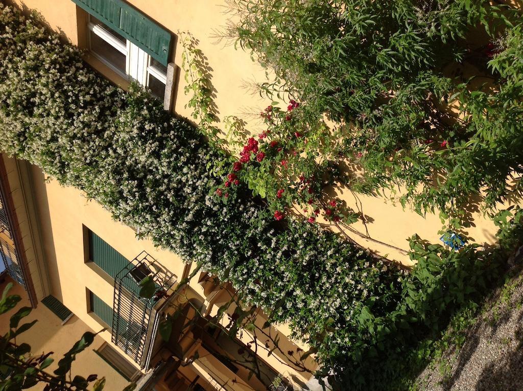 Giardinetto * Bellagio