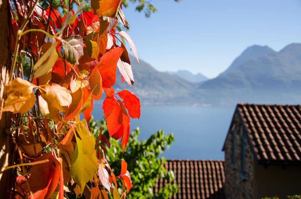 Appartamento Anma Sole *