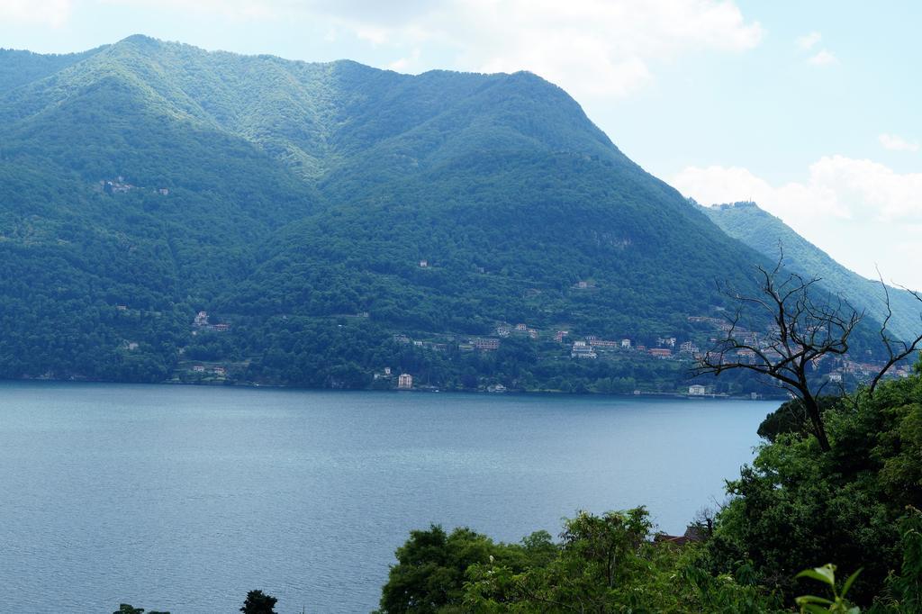 Residenza Andrea Olga * Laglio