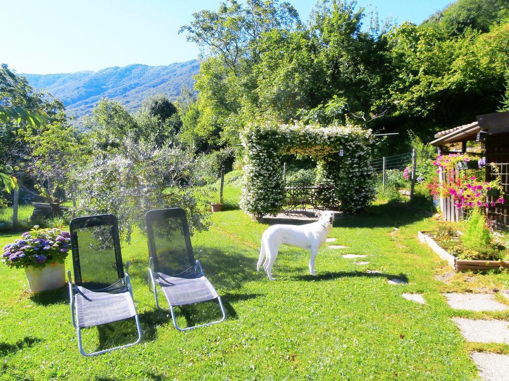 Liliana Holiday home Faggeto Lario