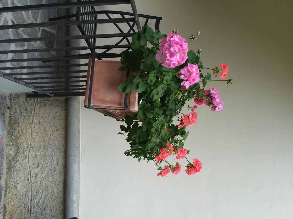 Villa Sofia *