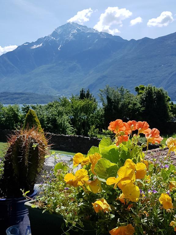 La Ca De La Fra