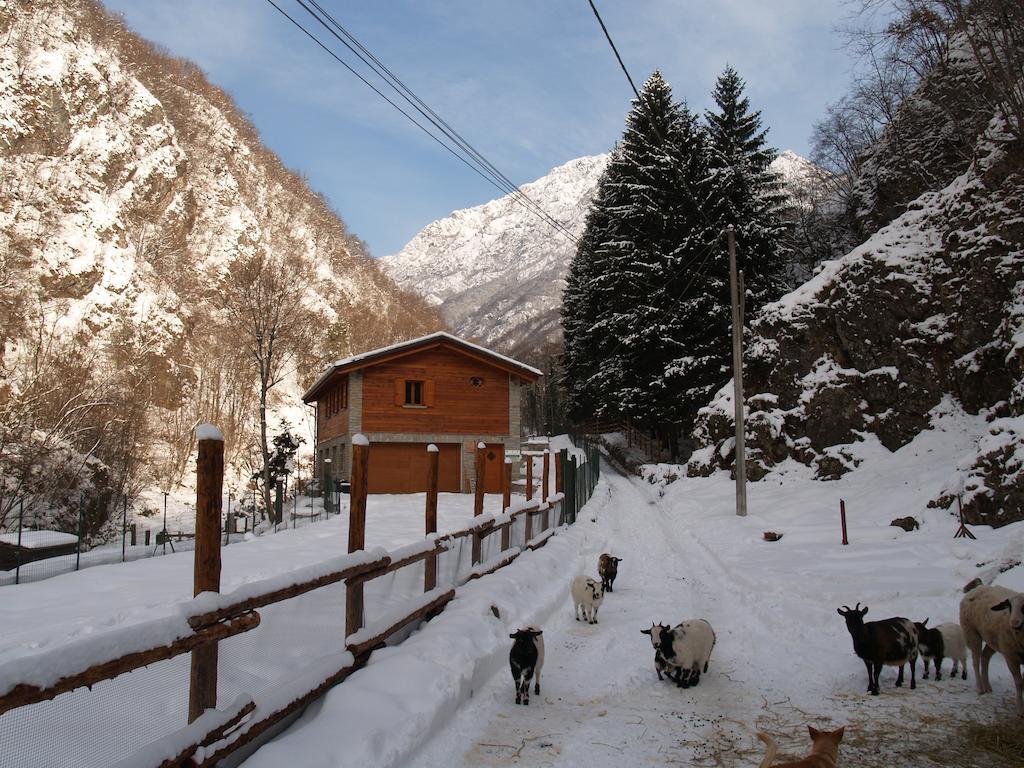 Agriturismo La Vecchia Chioderia Farm stay Grandola ed Uniti