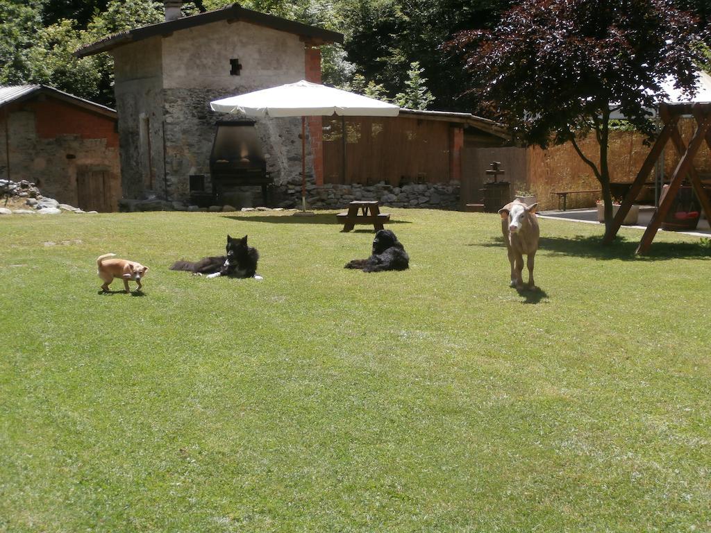 Agriturismo La Vecchia Chioderia Farm stay *