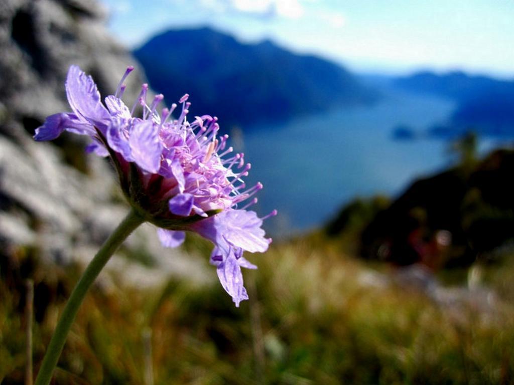 Villa Lakecomo - Ritrovo Menaggio