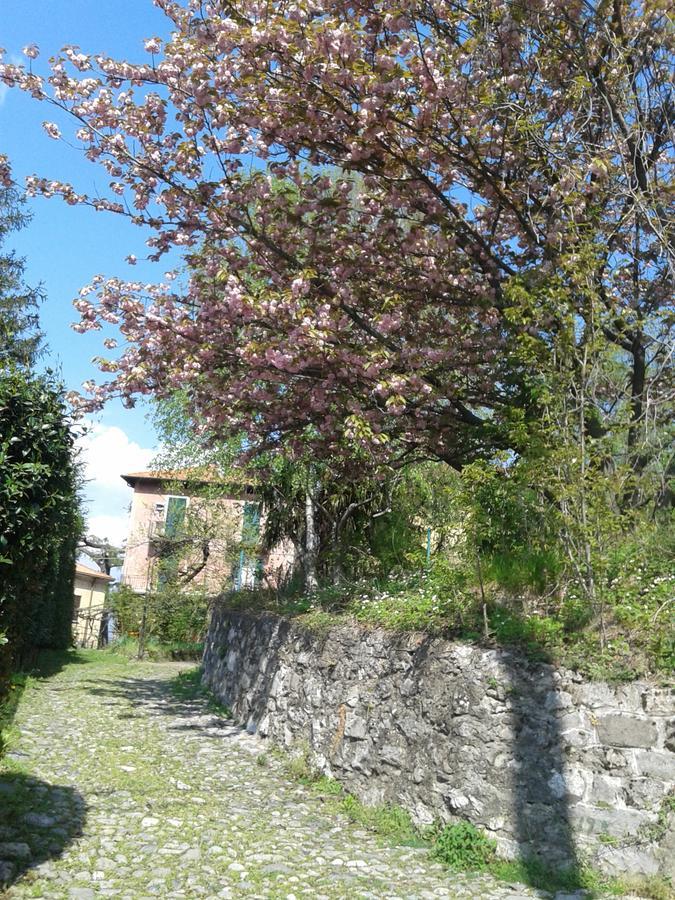 Carpe Diem * Lierna