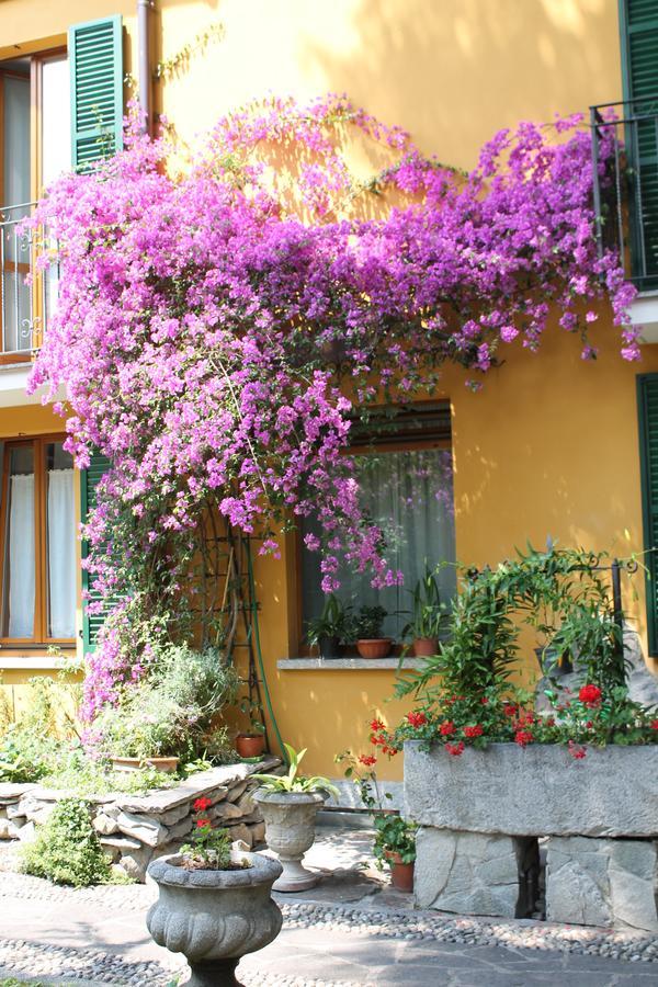 Hotel Hotel Centrale Bellagio 3*