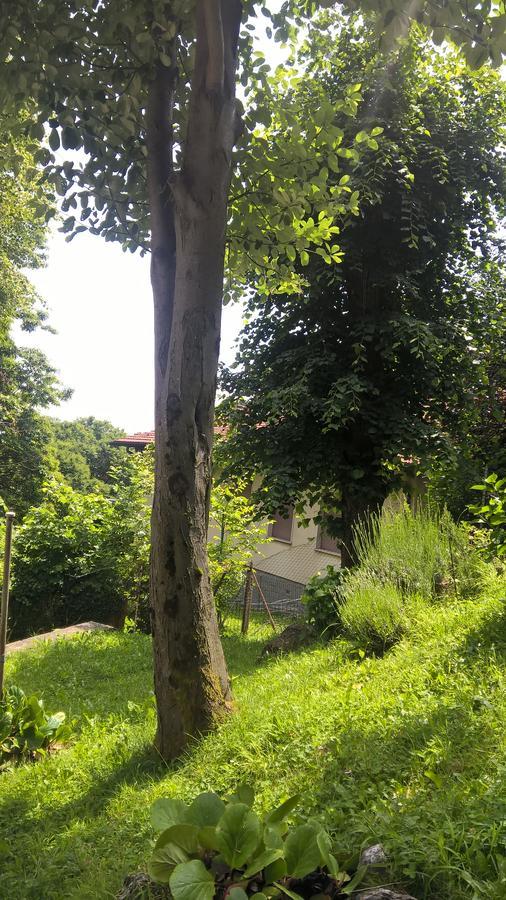 Apartment Casa Vacanze 