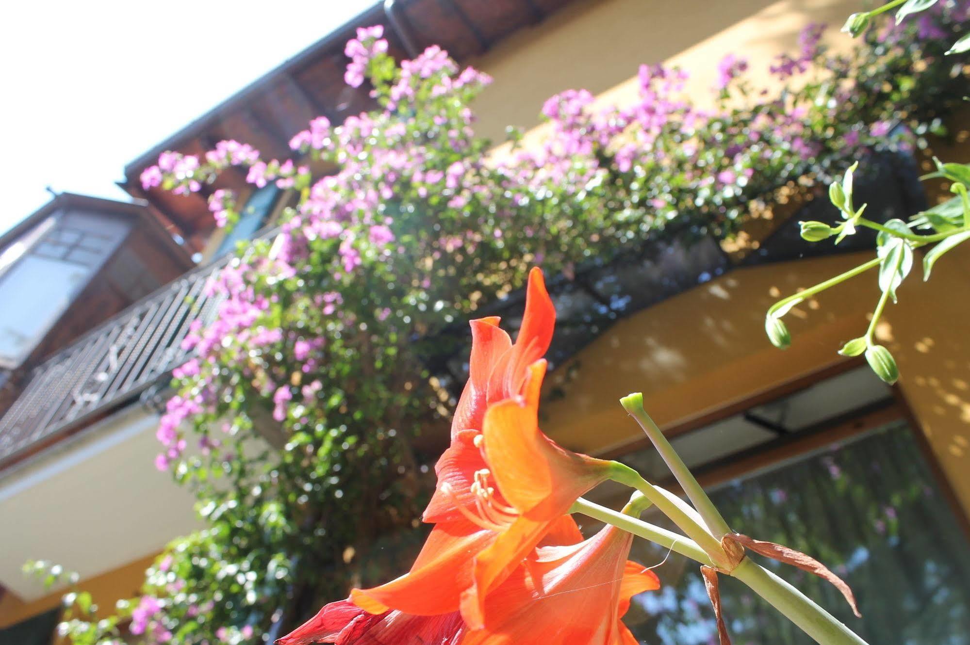 Hotel Hotel Centrale Bellagio 3*