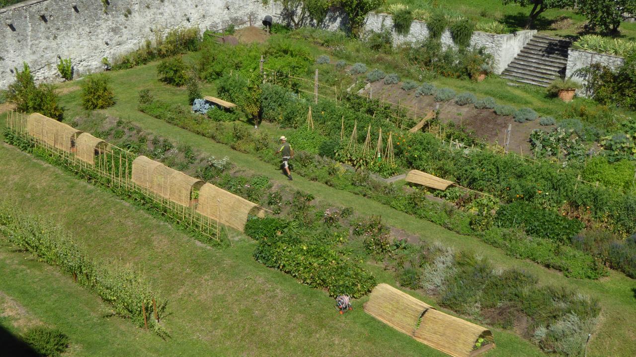 Farm stay La Derta *