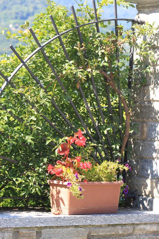 Bed & Breakfast Balcone Fiorito