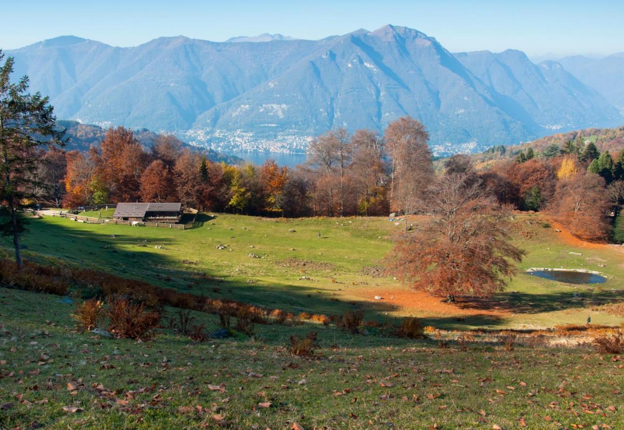 Aquarelle Bed & Breakfast Faggeto Lario