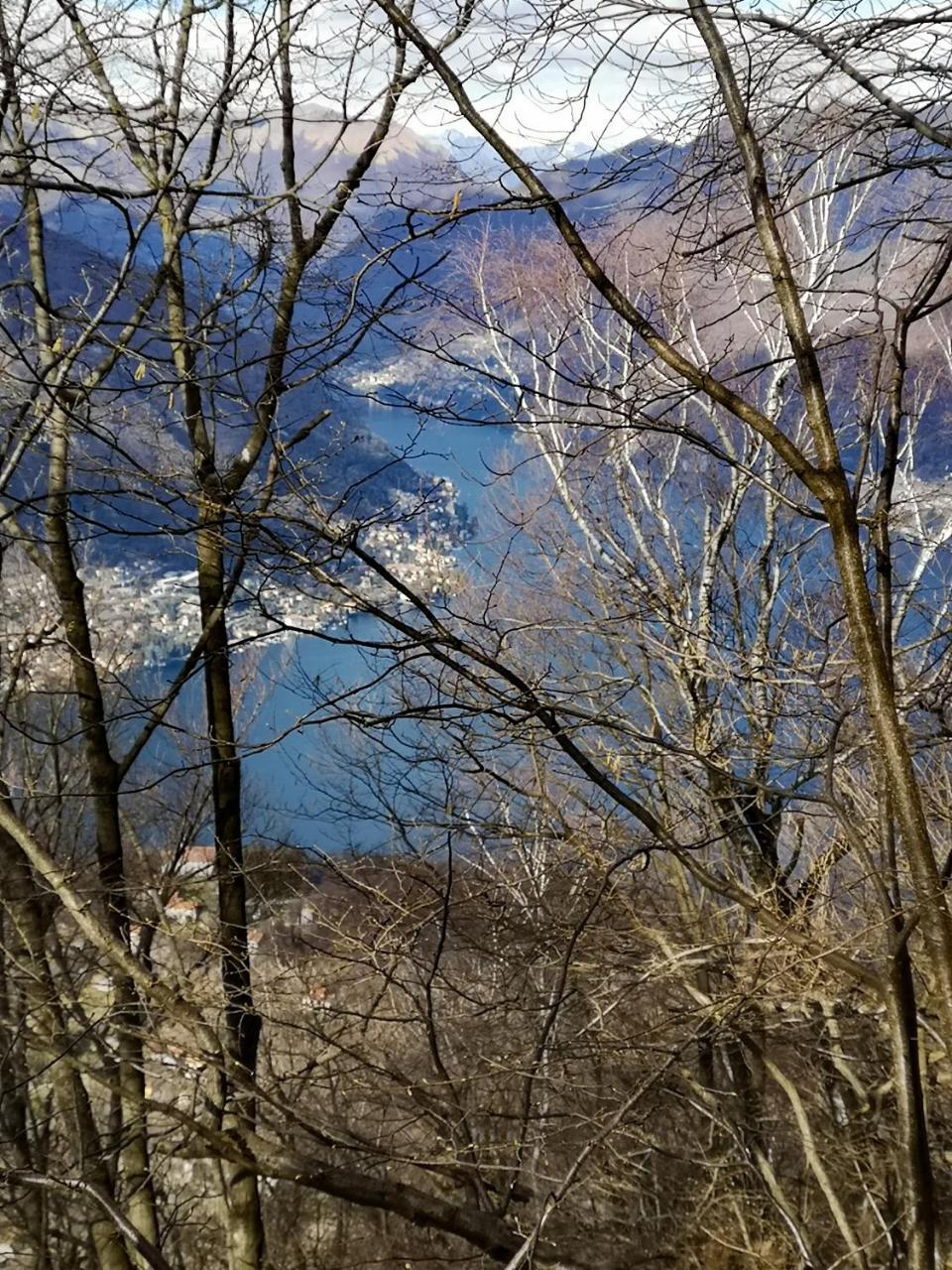 La Ruota Del Mulino * Nesso