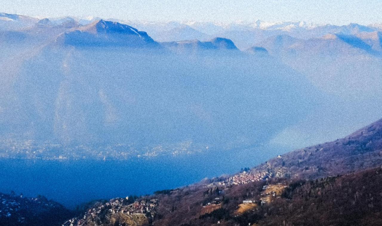 La Ruota Del Mulino * Nesso