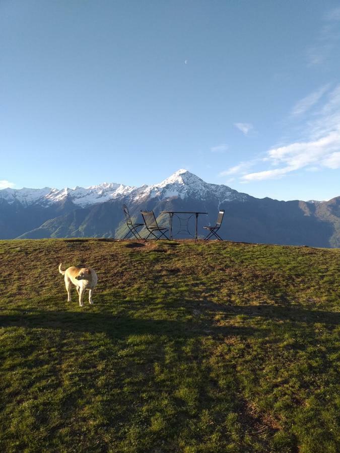 Chalet Dal Vikingo