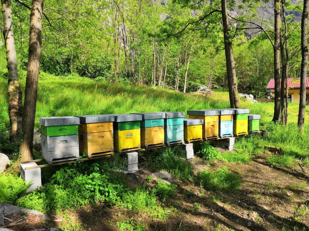 Val Codera Farm stay Verceia