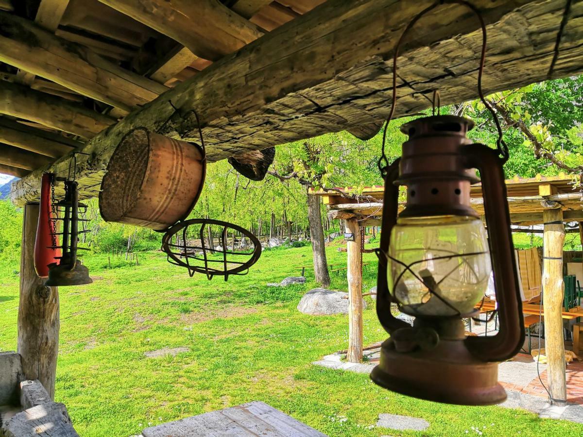 Farm stay Val Codera Verceia