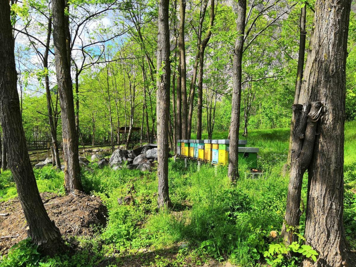 Val Codera Farm stay