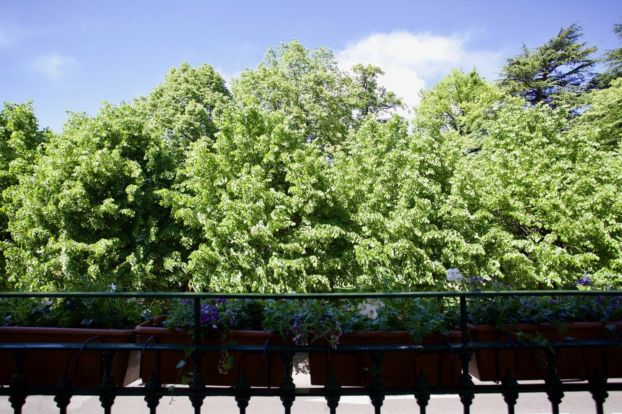 Ostello Bello Lake Como Hostel