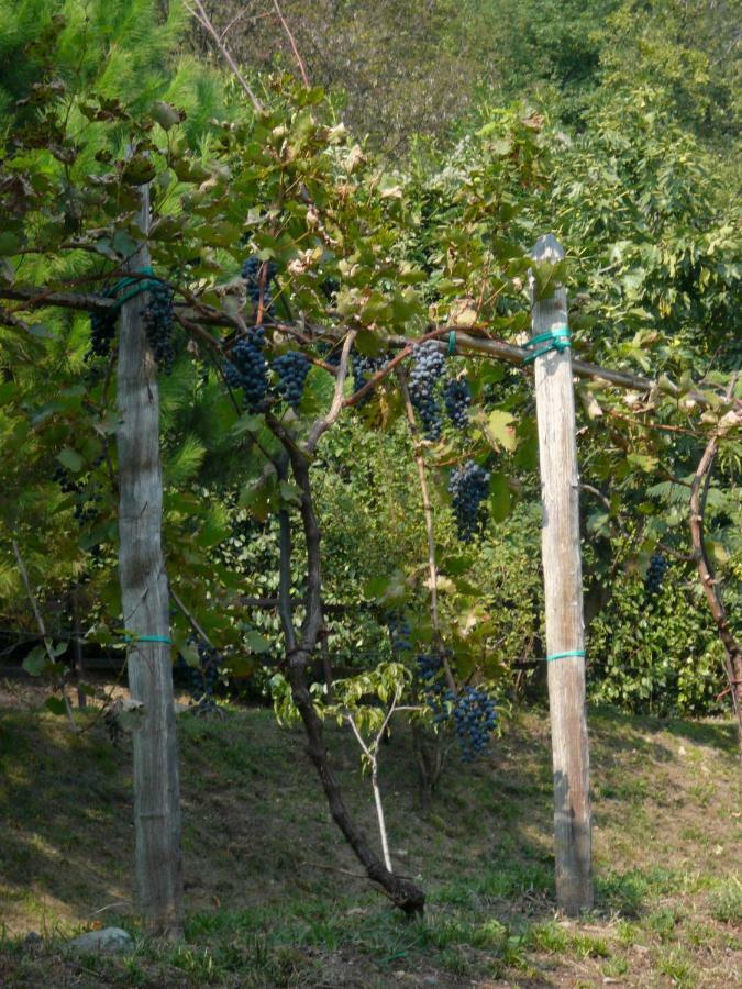 Cascina Cologna Galbiate