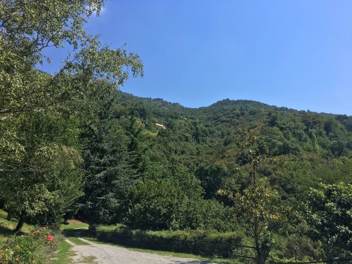 Bed & Breakfast Cascina Cologna *