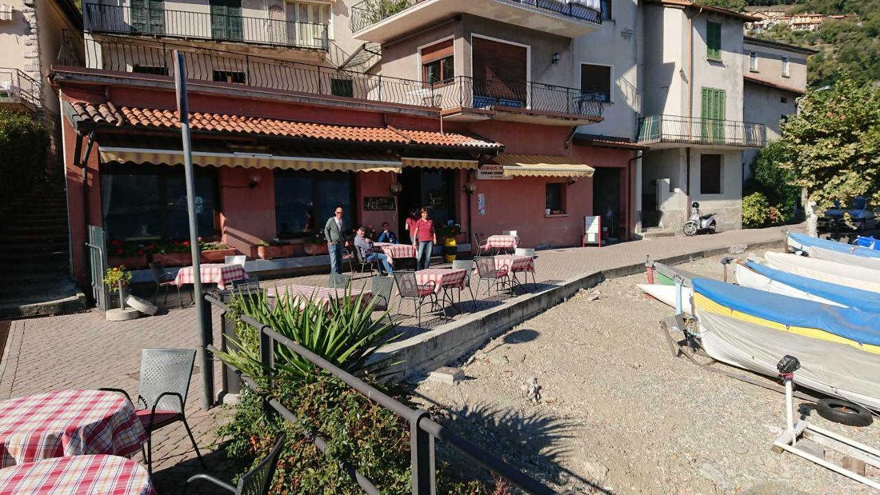 Apartment Camelia 21 *