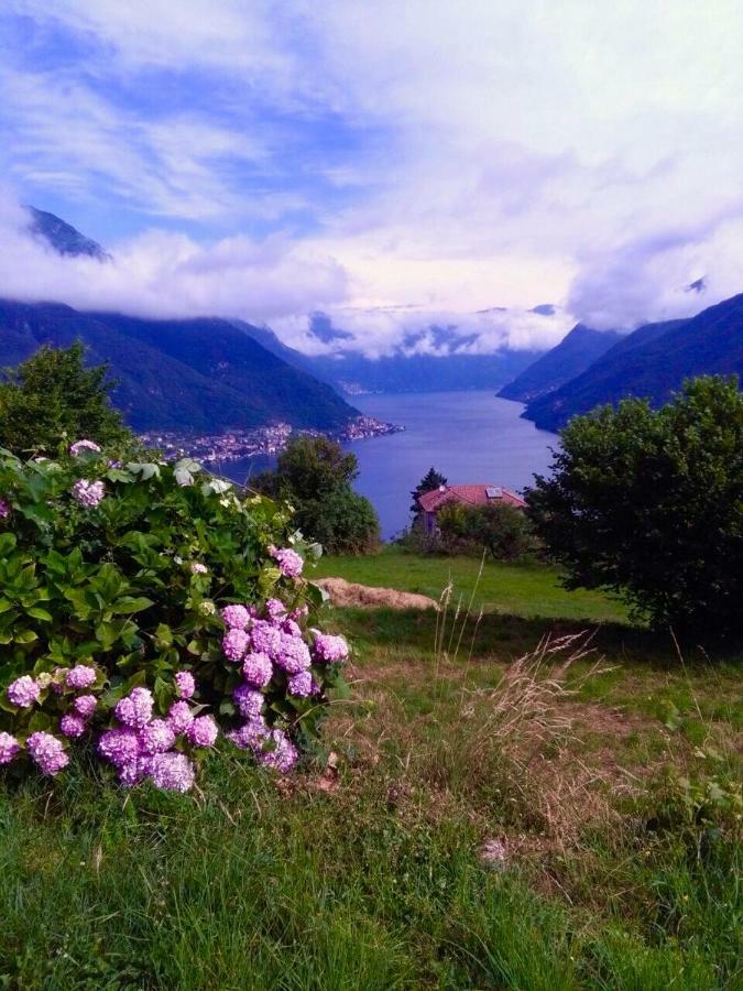 Holiday home Liliana Faggeto Lario