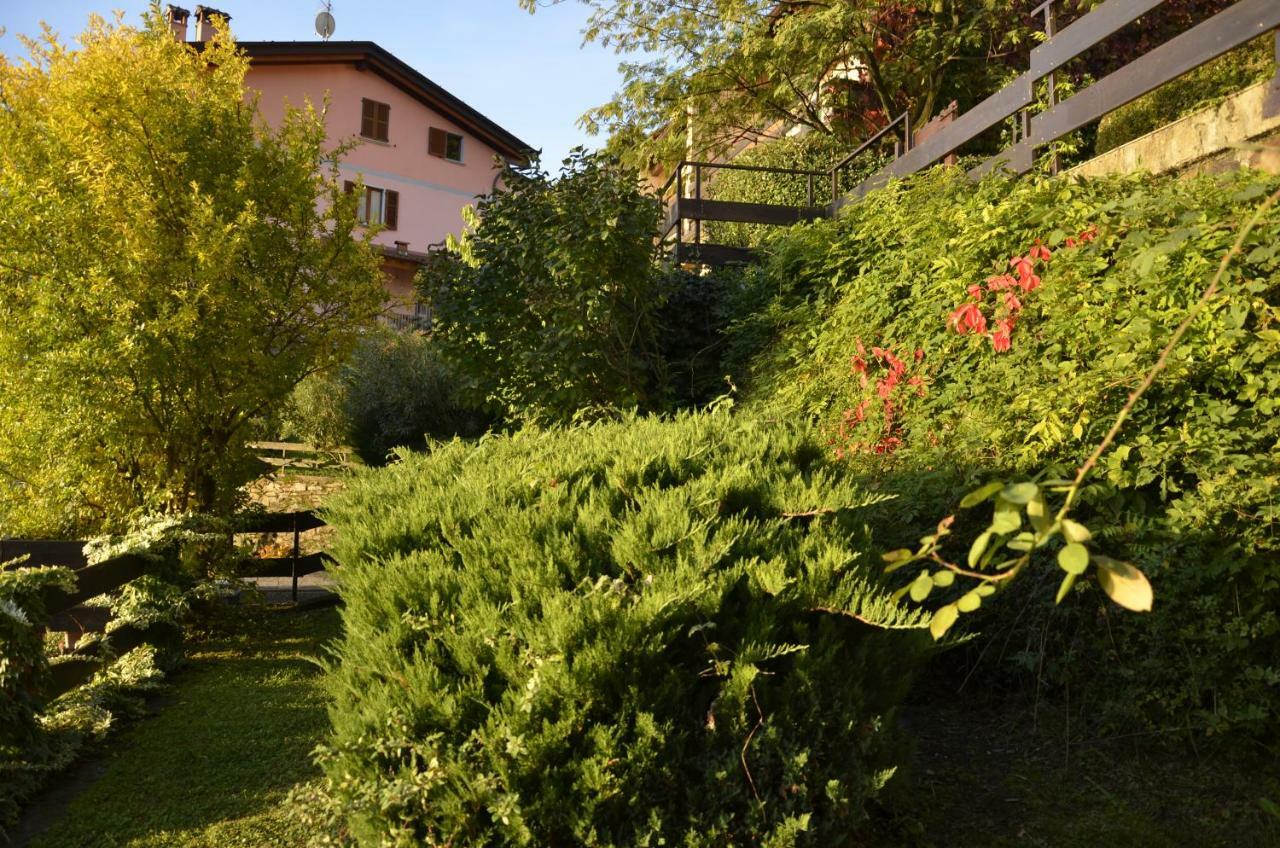 Appartamento Anma Sole *