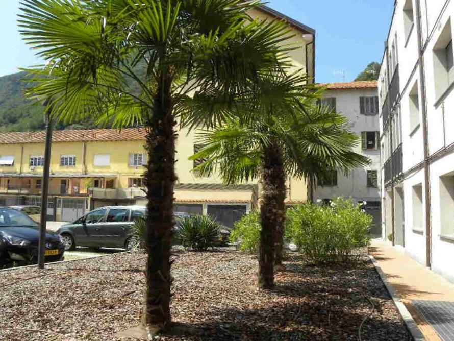 Lake View Apartment