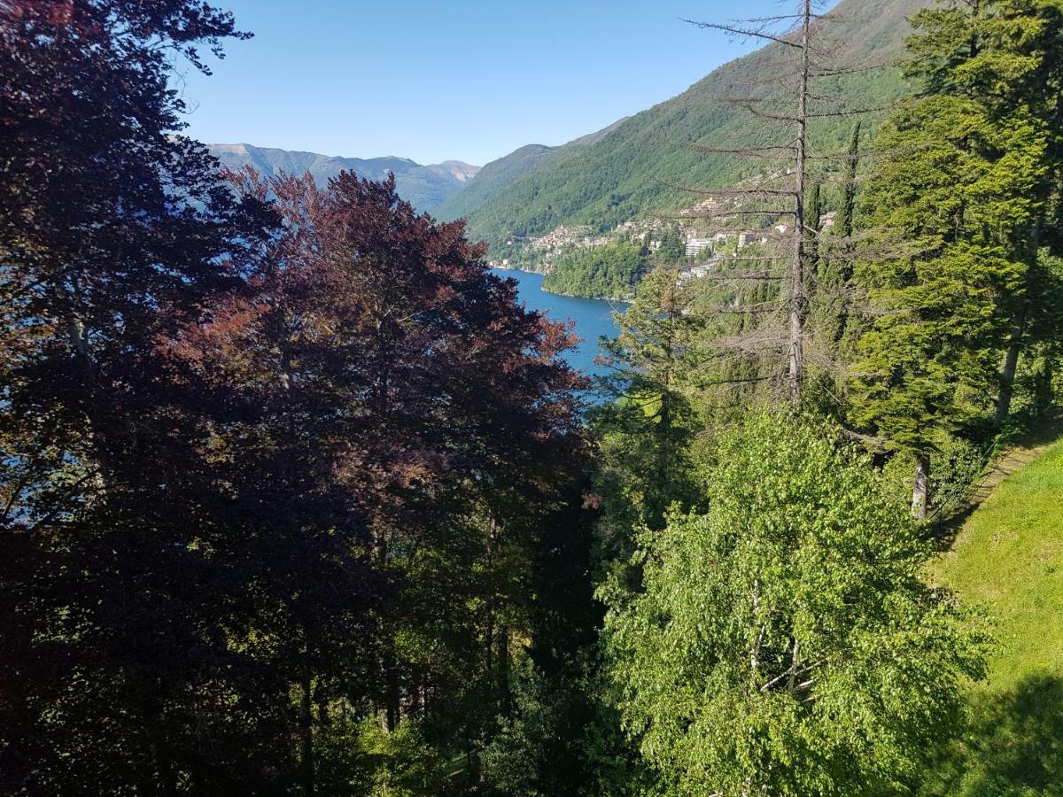 Le Finestre Sul Faggeto Lario