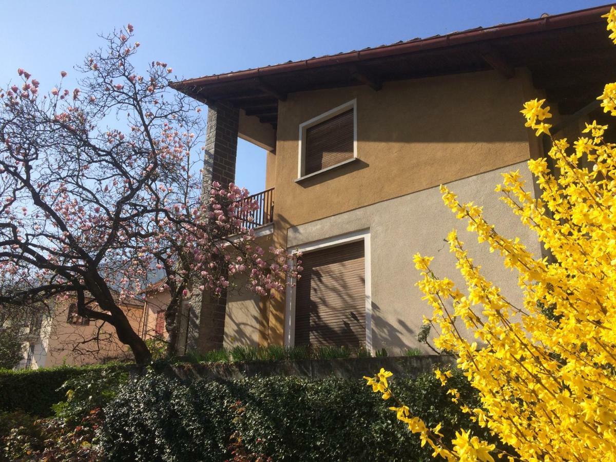 La Tana Guest house