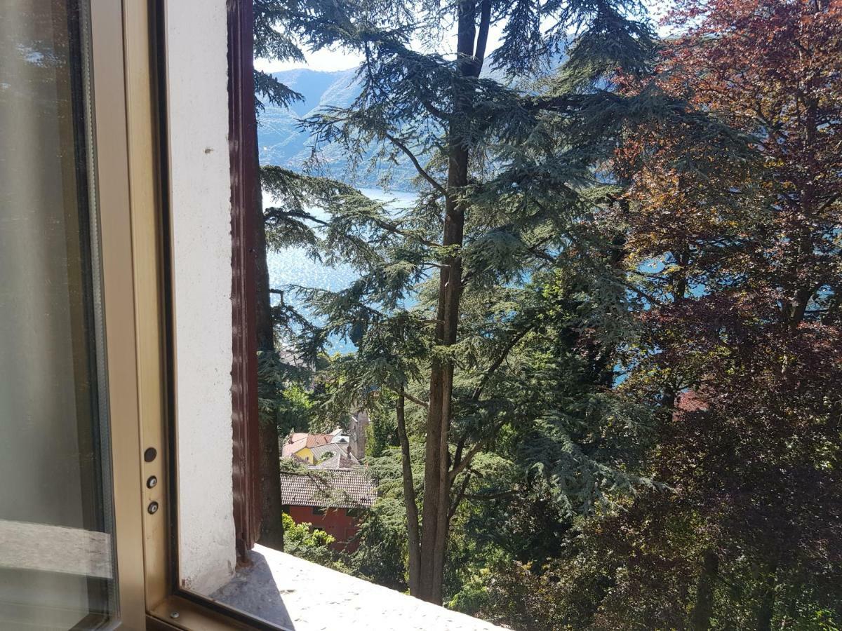Le Finestre Sul *