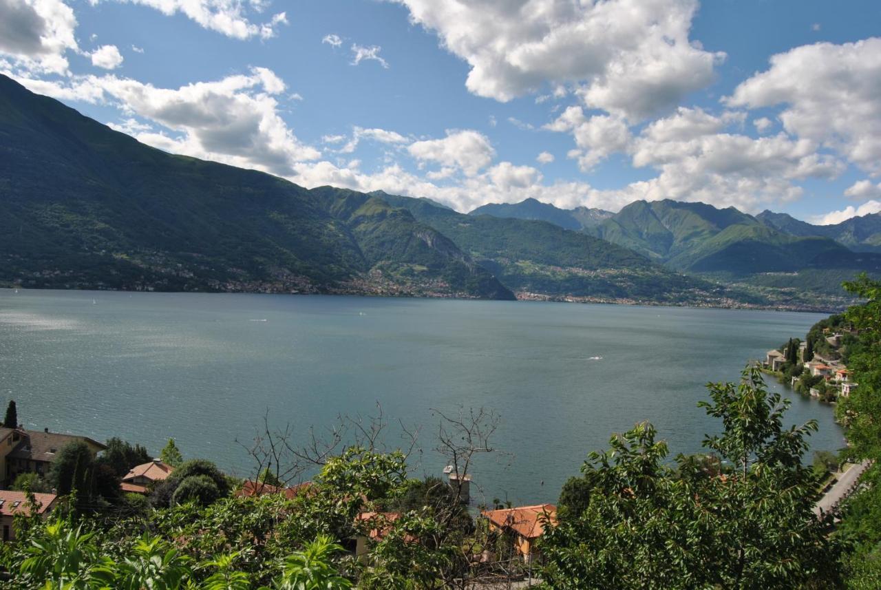 Oasi Del Viandante