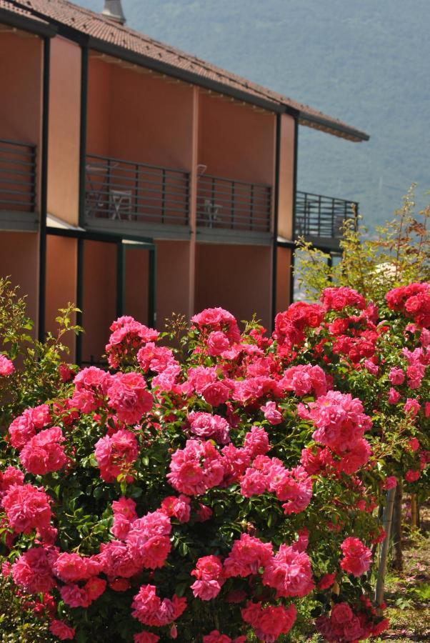 Apartment Oasi Del Viandante *