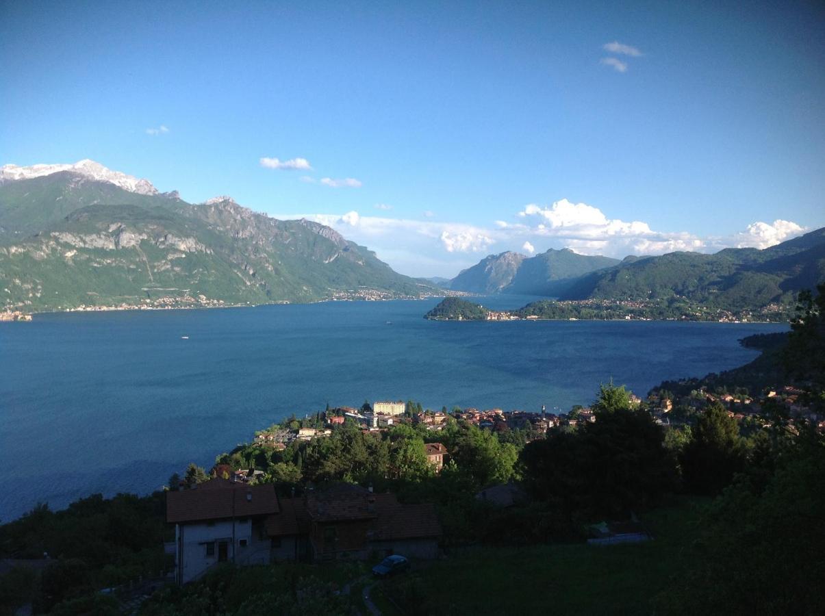 Landscapesilvia Acqua *