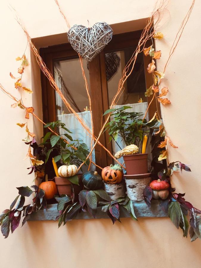 La Maison D'alize