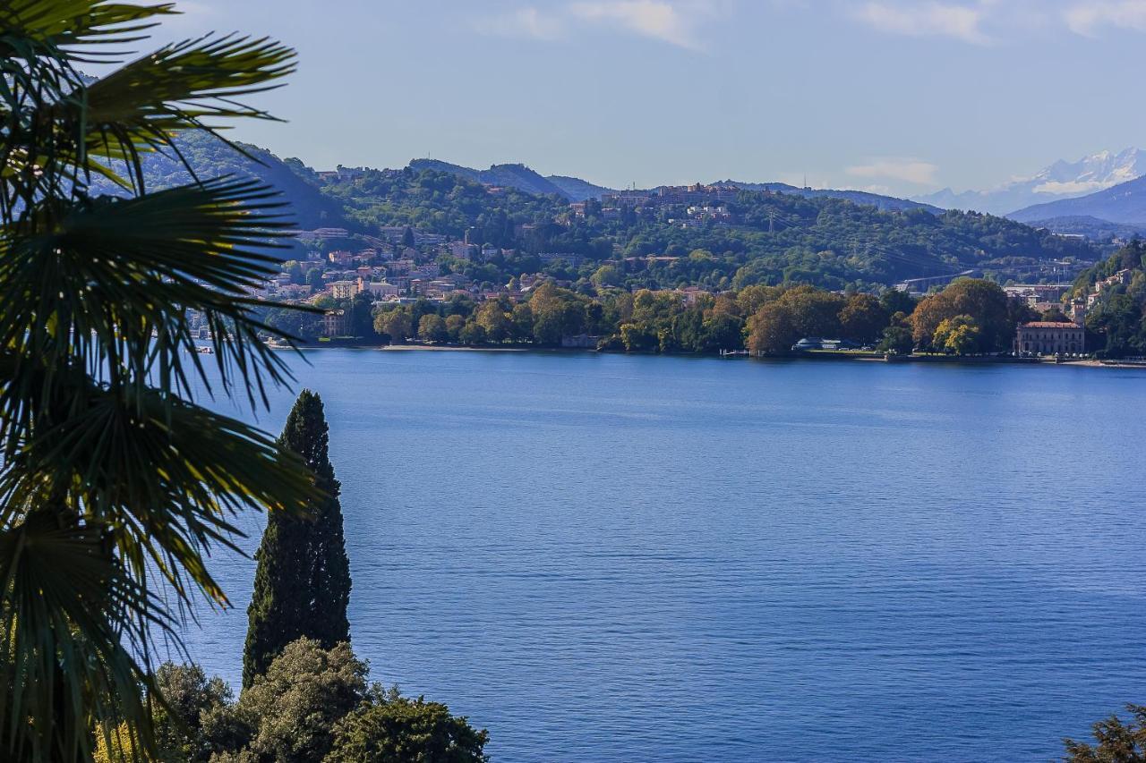 Bella Fra