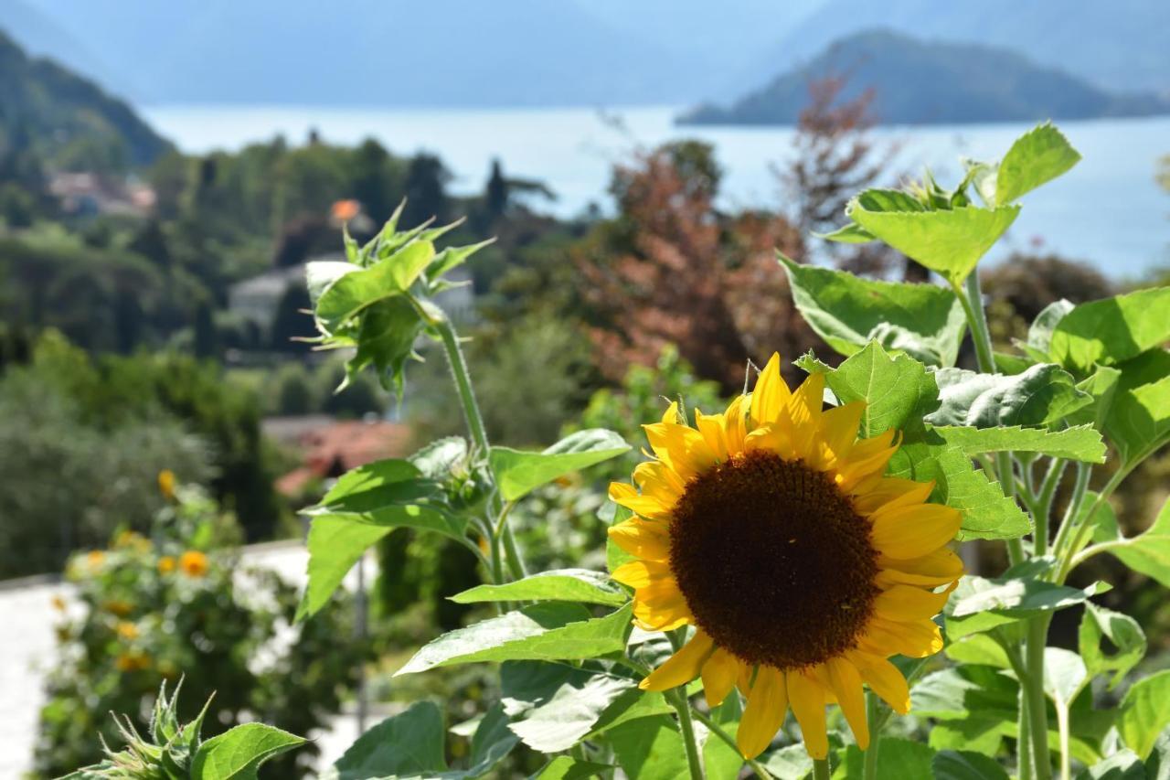 Farm stay Il Colle