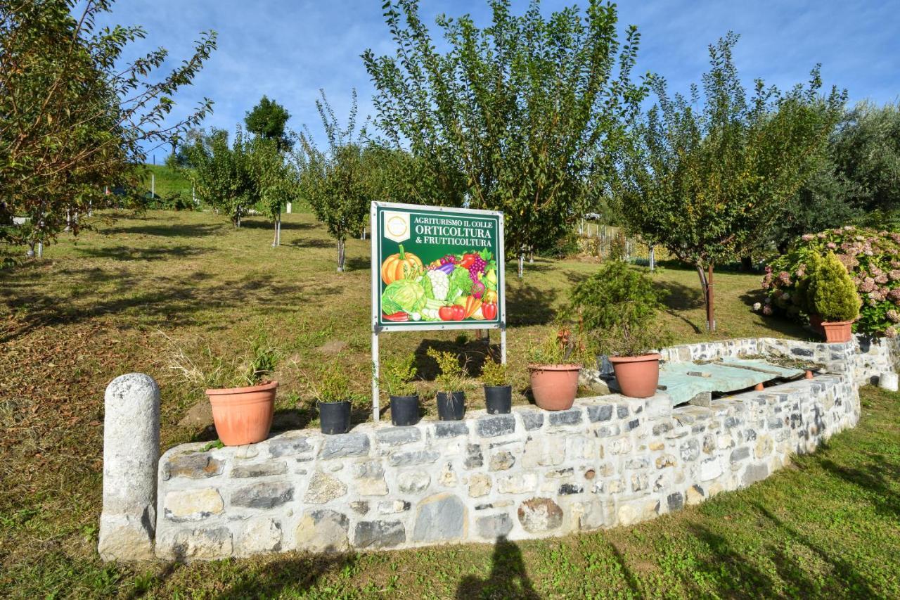 Il Colle Farm stay Bellagio