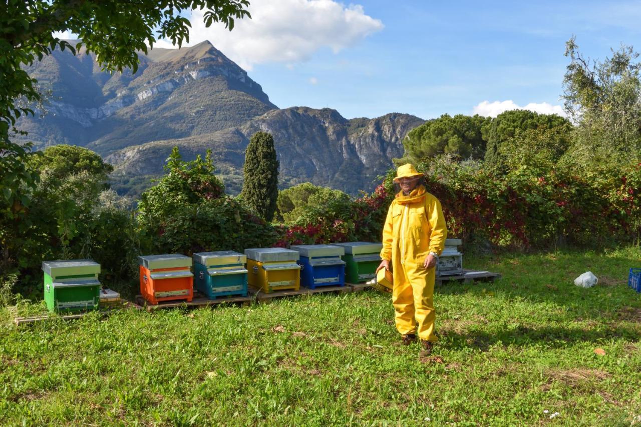 Farm stay Il Colle Bellagio