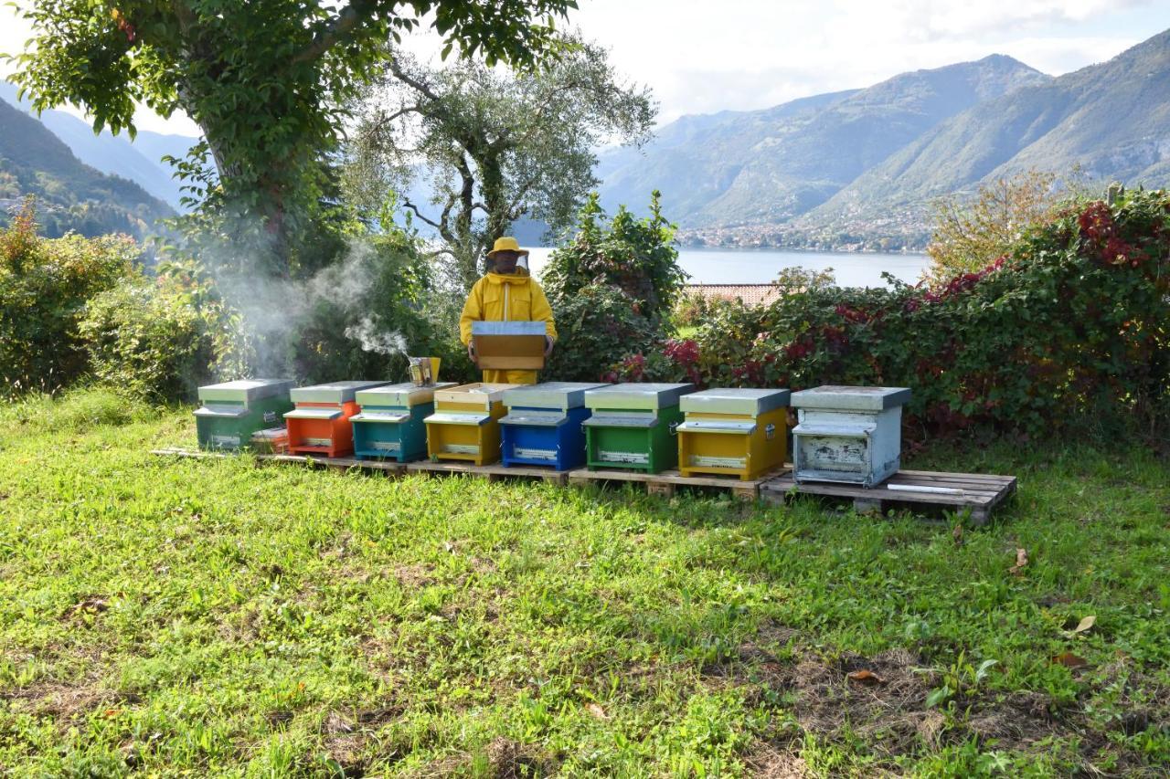 Il Colle Farm stay *