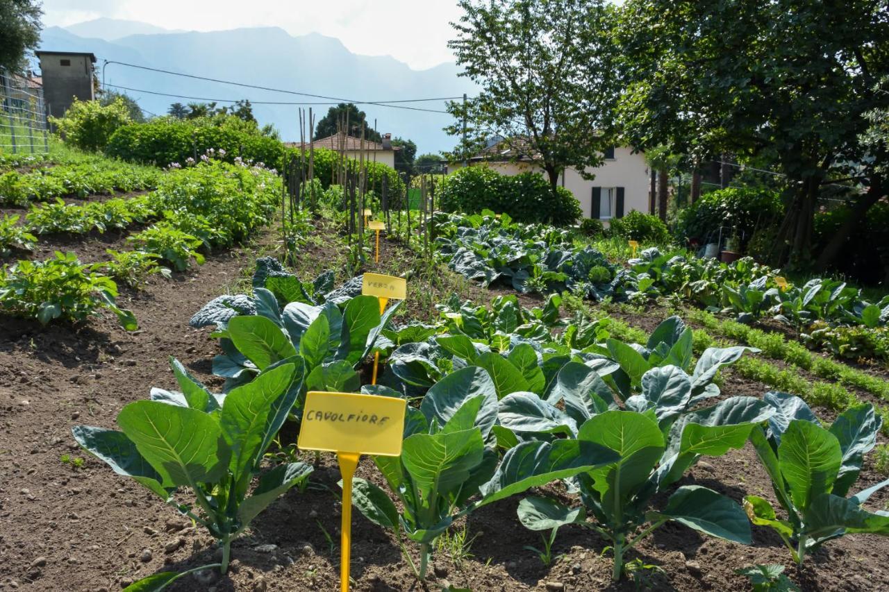 Il Colle Bellagio