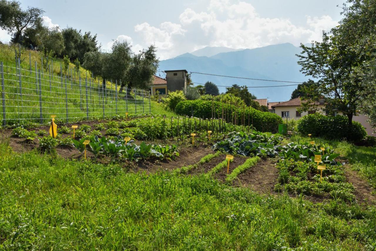 Il Colle * Bellagio