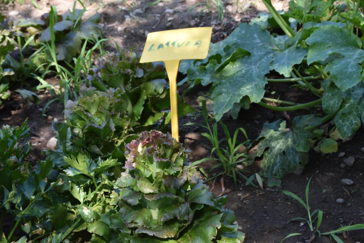 Farm stay Il Colle