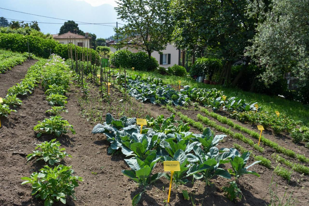 Il Colle Bellagio