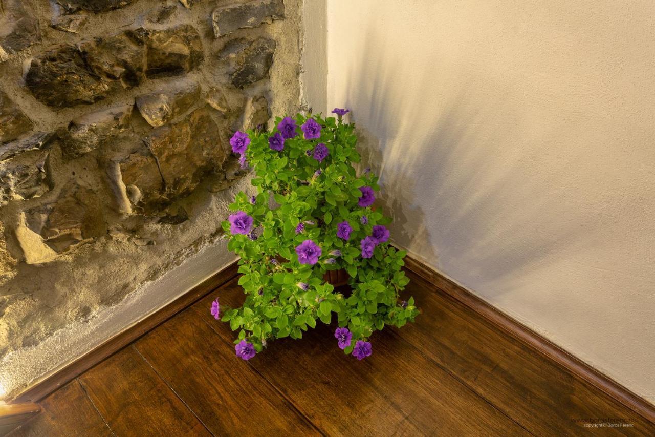 Apartment Pilissy Ossuccio