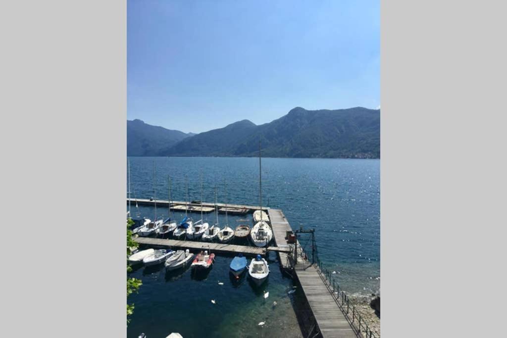 Mamma Ciccia - Lake Front Apartment, Beach And Swimming Pool Apartment Lierna