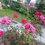 B&B La Fontana